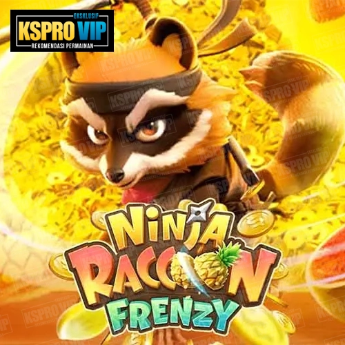 Ninja Raccoon Frenzy