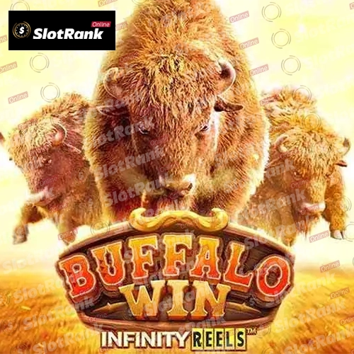 Buffalo Win