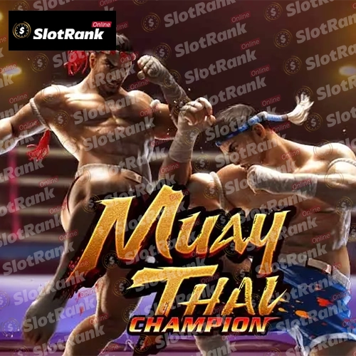 Muay Thai Champion