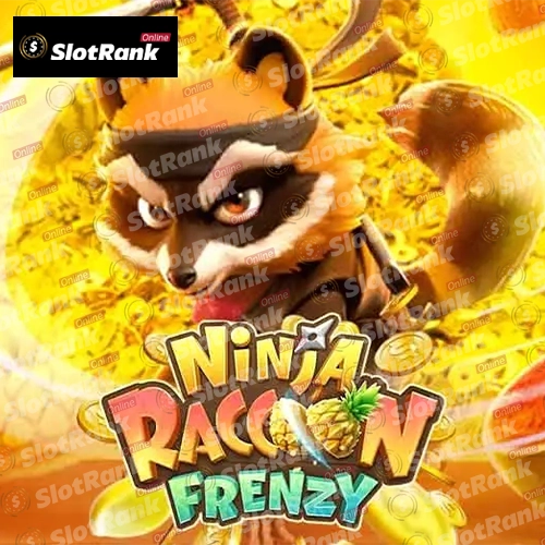 Ninja Raccoon Frenzy