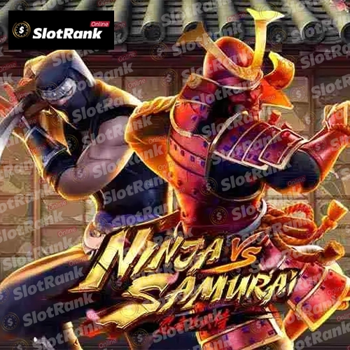 Ninja vs Samurai